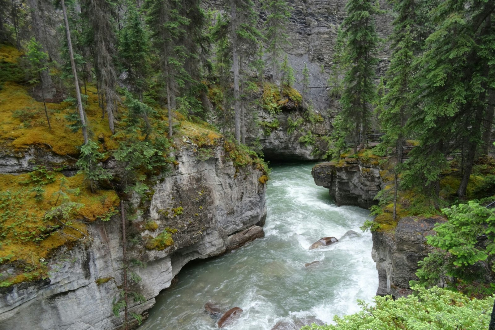 reza-amiri-yhioQmeHxjA-unsplash