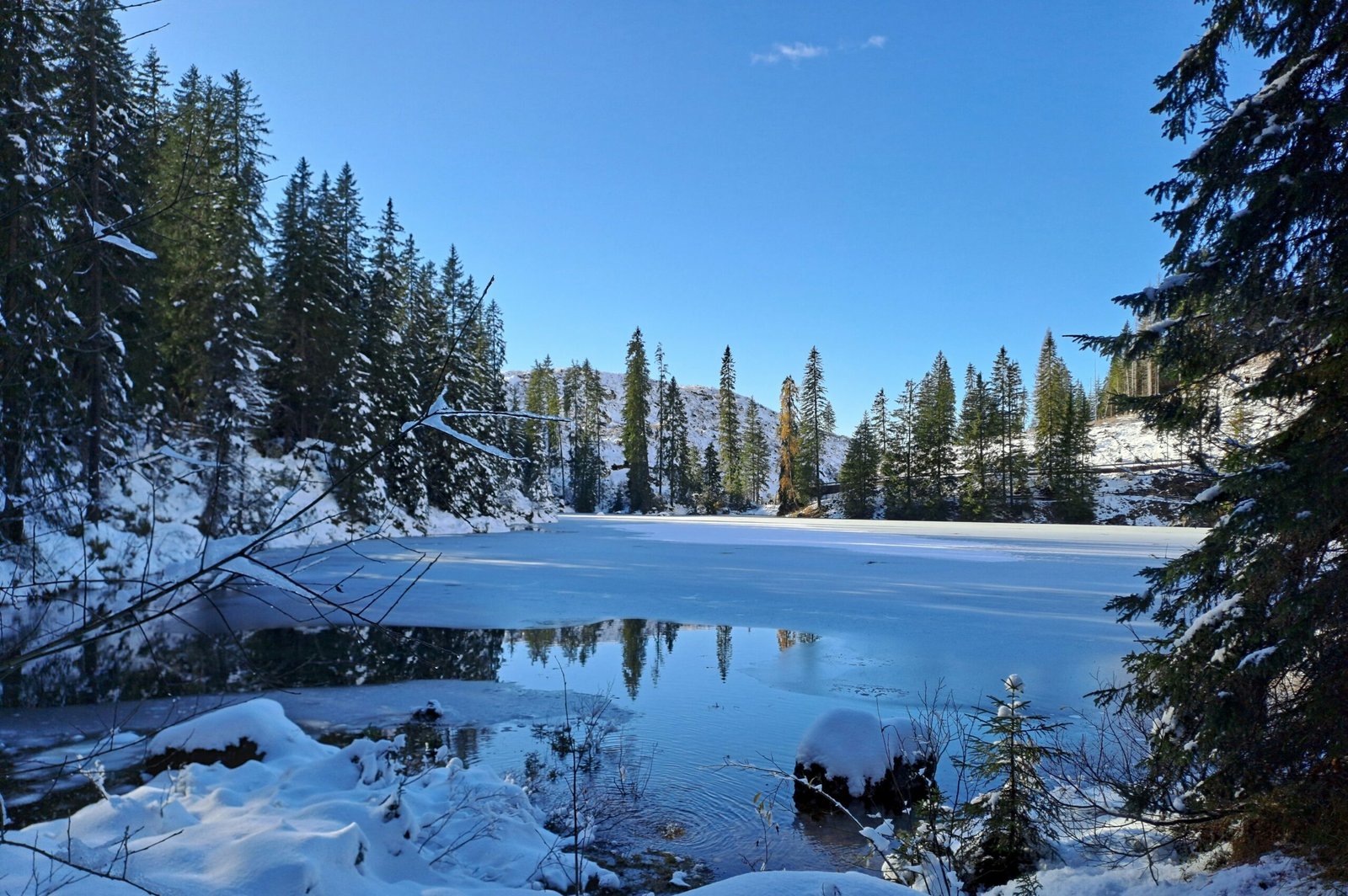 stefania-tolin-39PeeH6Of3Y-unsplash